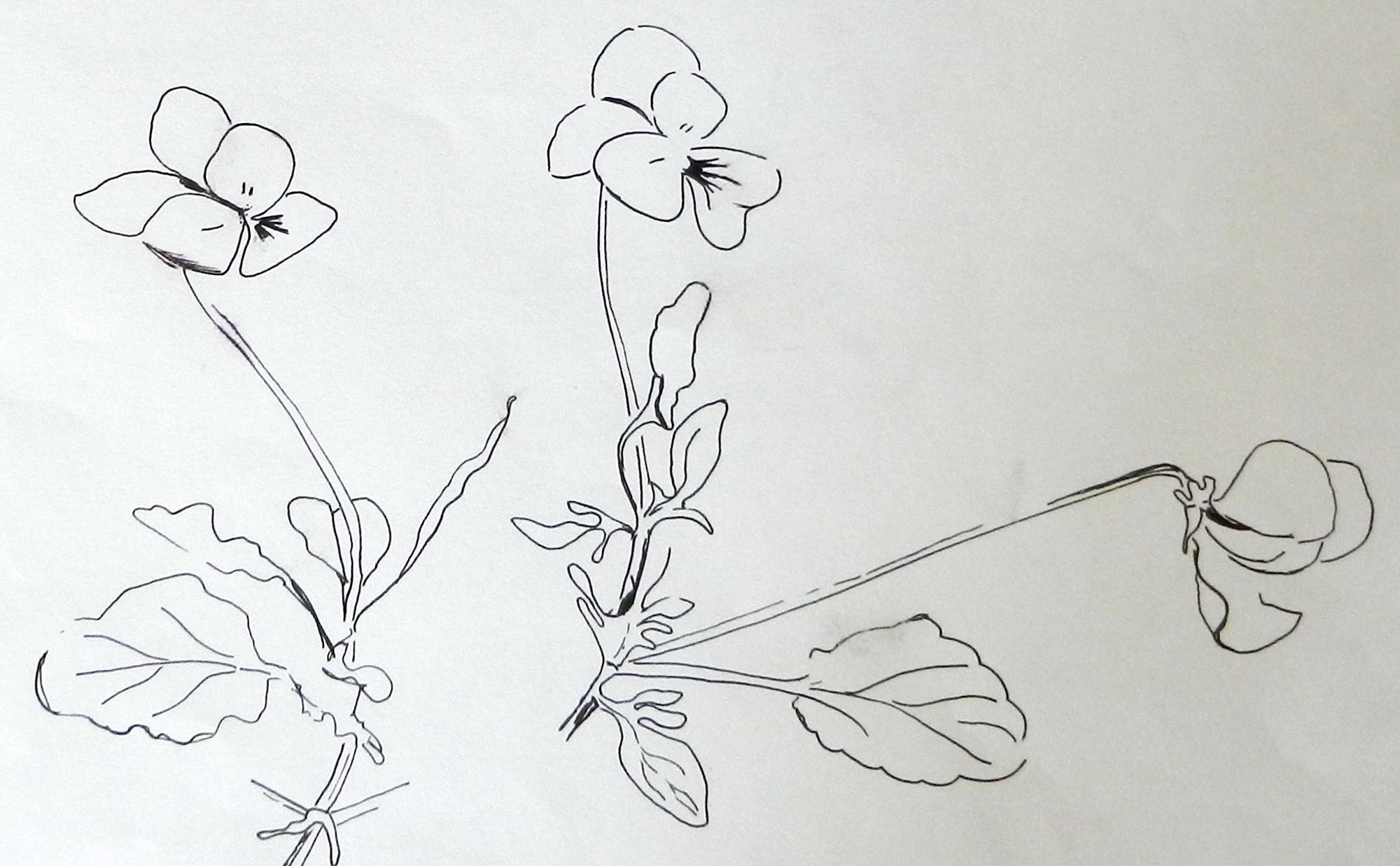 Fineliner auf Papier