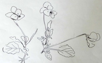  Fineliner auf Papier 