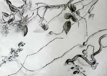  Bleistift auf Papier 